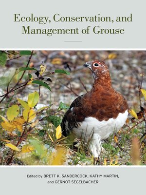 cover image of Ecology, Conservation, and Management of Grouse